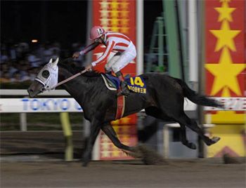 ～あの名馬が帝王賞の舞台に帰ってくる！～ ボンネビルレコード号 誘導馬デビュー！