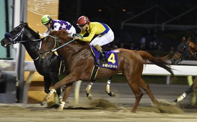 ジャパンダートダービーは 枠順や臨戦過程がカギ 分析レポート データ コラム 東京シティ競馬 Tokyo City Keiba