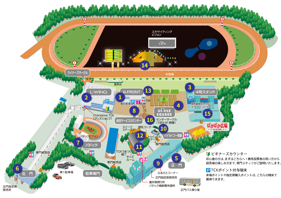 競馬 大井 今日 の 楽天競馬：地方競馬全場のオッズ・予想・投票・レース映像を提供