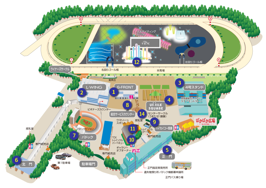 TCKガイド | 東京シティ競馬 : TOKYO CITY KEIBA