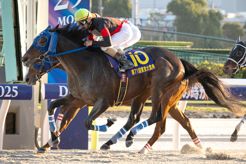 【東京大賞典】ディクテオンのキャップ【競馬】 ディクテオン号がTCK大賞に輝く！～「2025 TCK大賞」受賞馬・受賞者が