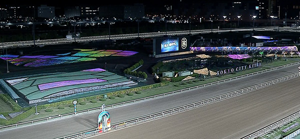 東京シティ競馬2026年度事業計画 日本初のナイター競馬「トゥインクル