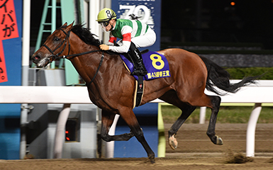 表 中央 2020 日程 競馬