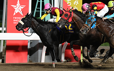 第23回 ジャパンダートダービー Jpni 重賞レース レースと日程 東京シティ競馬 Tokyo City Keiba