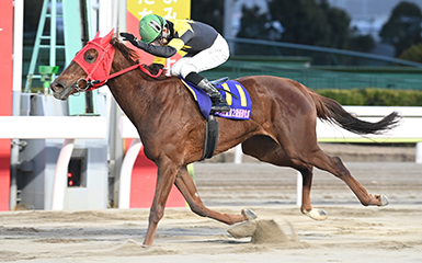 第45回 東京2歳優駿牝馬(SI) | 重賞レース | レースと日程 | 東京