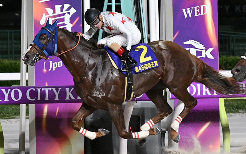 第48回 帝王賞(JpnI) | 重賞レース | レースと日程 | 東京シティ
