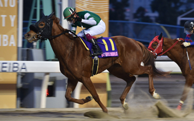 第41回 東京2歳優駿牝馬 Si 重賞レース レースと日程 東京