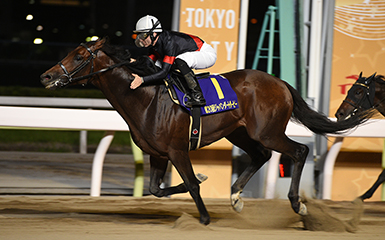 第回 ジャパンダートダービー Jpni 重賞レース レースと日程 東京シティ競馬 Tokyo City Keiba