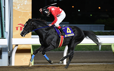 第55回 東京記念 Si 重賞レース レースと日程 東京シティ競馬