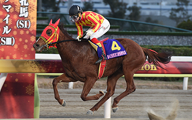 第42回 東京2歳優駿牝馬 Si 重賞レース レースと日程 東京