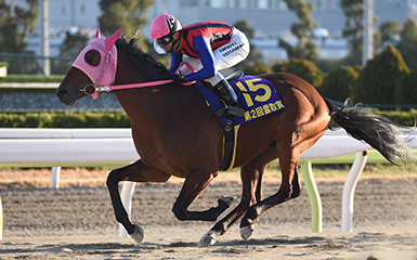 第2回 雲取賞 Siii 重賞レース レースと日程 東京シティ競馬