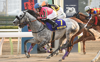 レース 結果 中央 今日 競馬 の