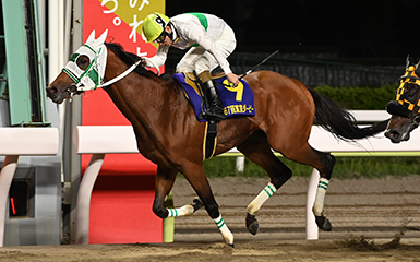 第67回 東京ダービー Si 重賞レース レースと日程 東京シティ競馬 Tokyo City Keiba