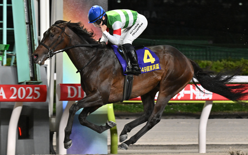 第49回 京浜盃(JpnII) | 重賞レース | レースと日程 | 東京シティ競馬