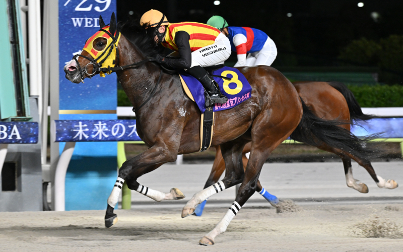アンビーユ　競馬場 第40回 東京プリンセス賞(SI) | 重賞レース | レースと日程 | 東京