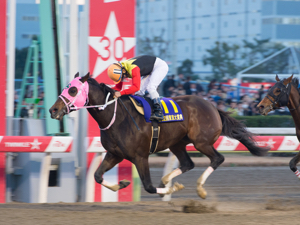 結果 地方 競馬