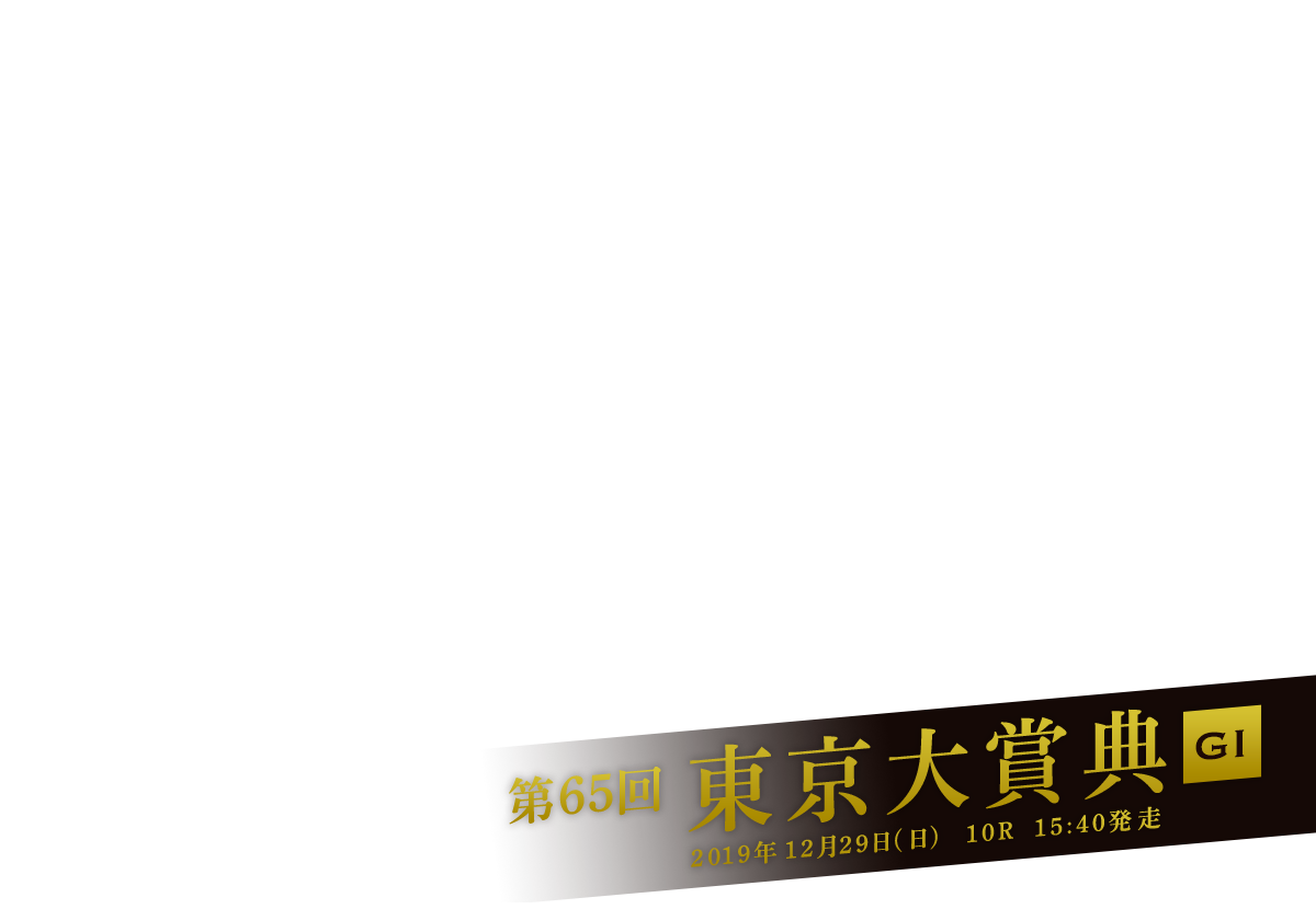 第65回 東京大賞典 GI 2019年12月29日(日)10R 15:40発走