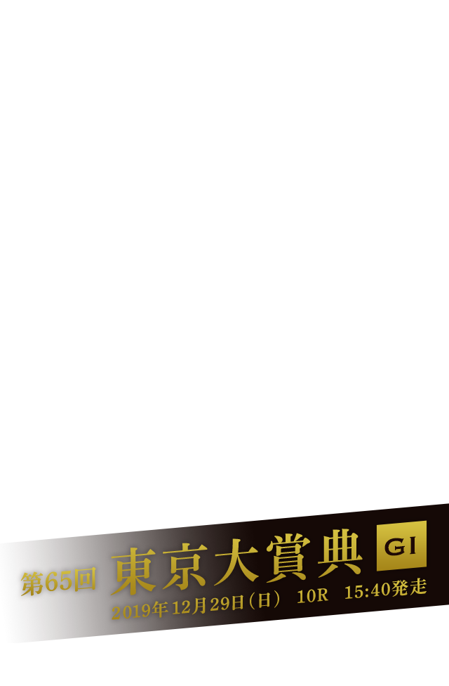 第65回 東京大賞典 GI 2019年12月29日(日)10R 15:40発走