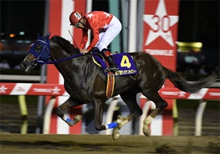 Event / TOKYO CITY KEIBA 祝達成!7000勝 的場文男騎手 特設サイト