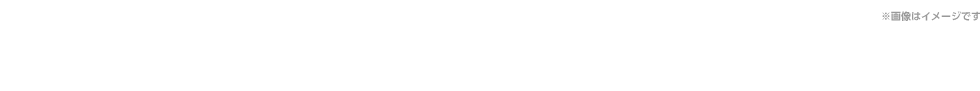 B1サイズポスター 20名様 ※画像はイメージです