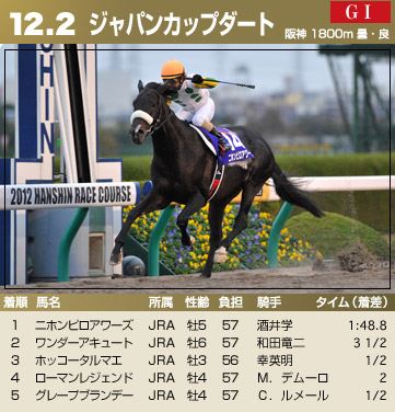 ジャパンカップダート