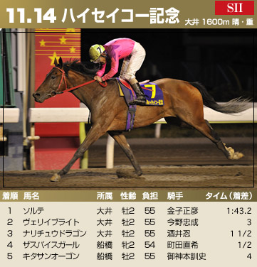 ハイセイコー記念