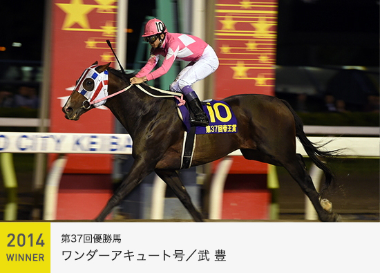 デルフト馬上杯 デルフト馬上杯