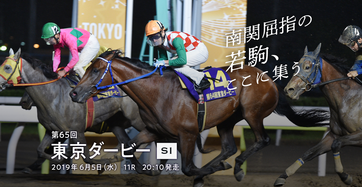 東京ダービー 夏の三重賞特設サイト19 東京シティ競馬 Tokyo City Keiba