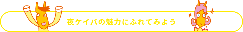 夜ケイバの魅力にふれてみよう