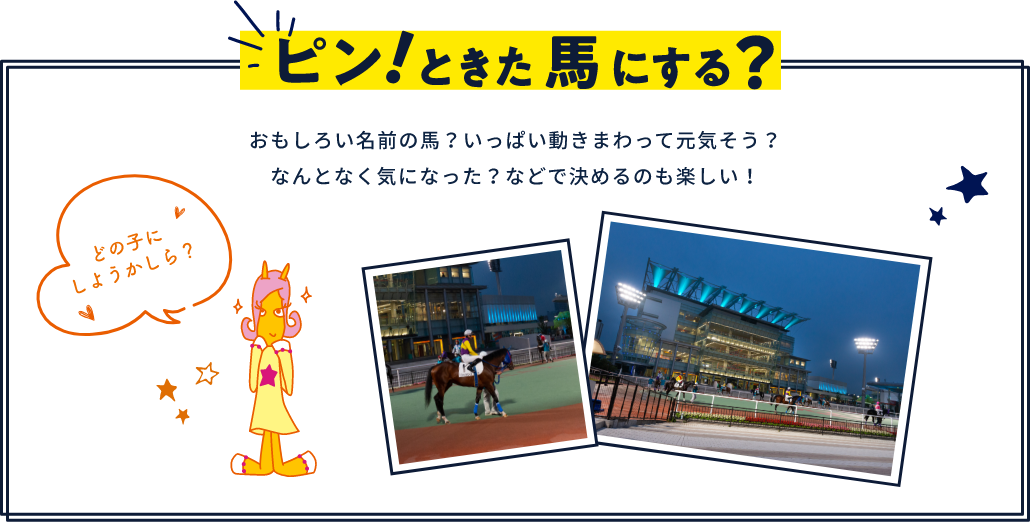 ピン!ときた馬にする?面白い名前の馬?いっぱい動きまわって元気そう?なんとなく気に入った?などで決めるのも楽しい!