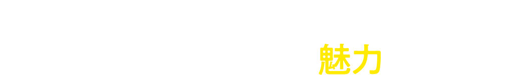 POINT03 レース観戦だけじゃない！夜遊びスポットとしても魅力いっぱい