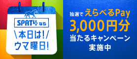 本日は！ウマ曜日！