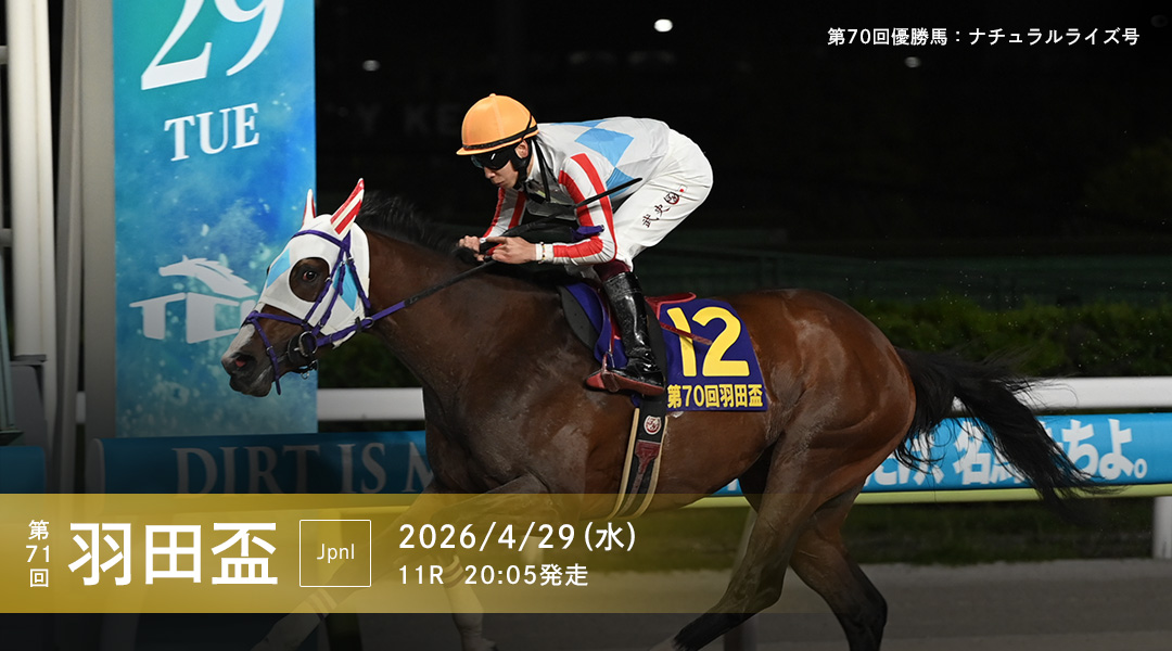 H068-I4-5880 TCK 東京シティ競馬 地下鉄車両 ジャック広告 蹄鉄デザイン つり革 現状品⑥ 貨物東京都営地下鉄6500形第５編成が甲種輸送される | Railway