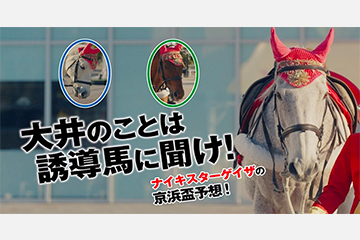 ～「大井のことは誘導馬に聞け！」キャンペーン実施中！～南関東三冠へのステップレース・京浜盃をTCK誘導馬がプライドをかけて渾身予想！