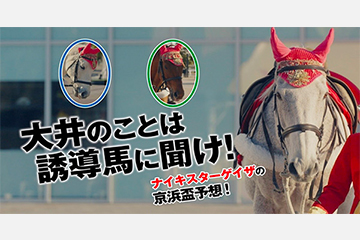 ~「大井のことは誘導馬に聞け!」キャンペーン実施中!~南関東三冠へのステップレース・京浜盃をTCK誘導馬がプライドをかけて渾身予想!