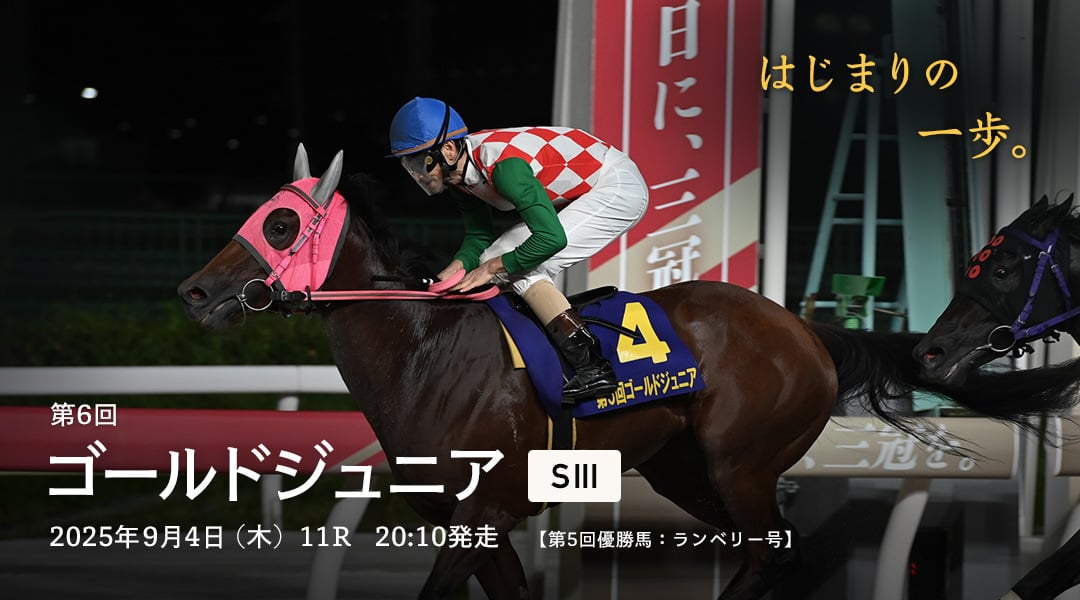 ゴールドジュニア(SIII)