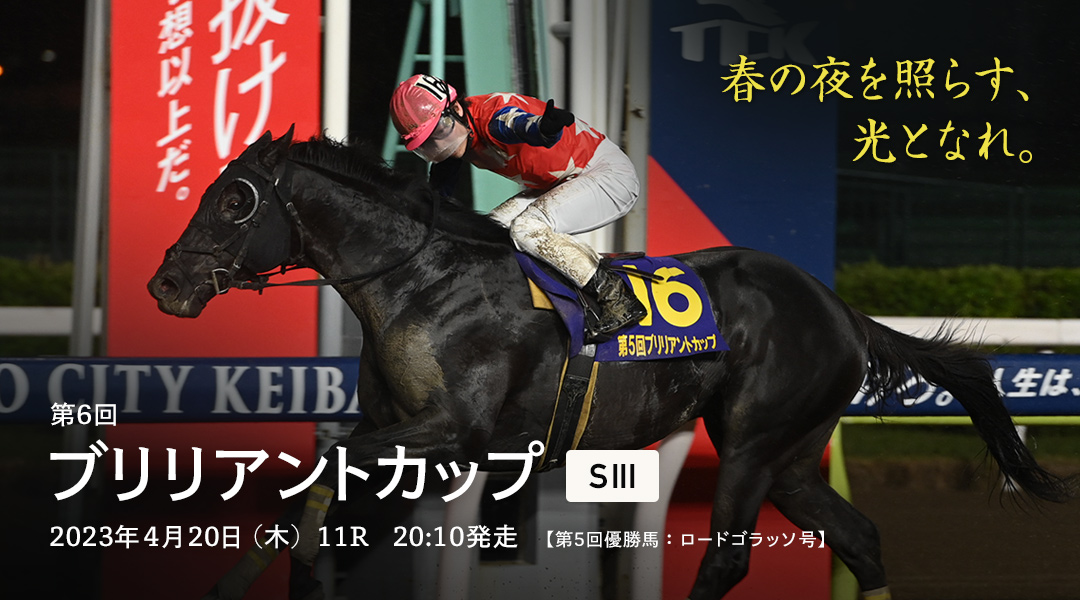 ブリリアントカップ(SIII)